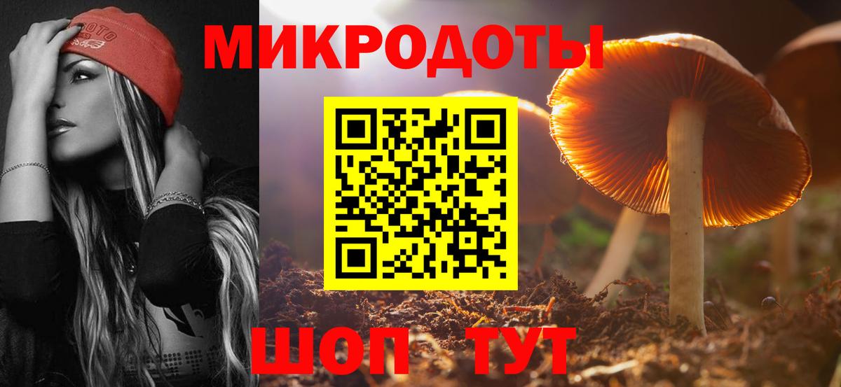 Галлюциногенные грибы Psilocybine cubensis Гусь-Хрустальный